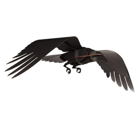 Adam | Flying Raven | IBRIDE
