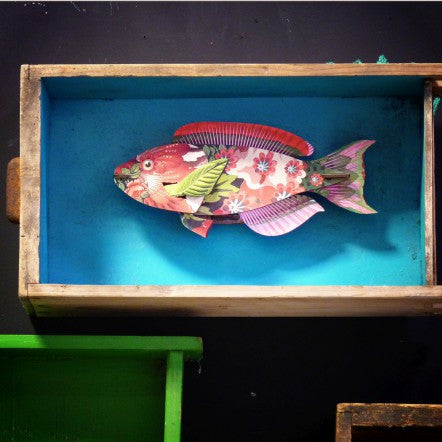 Abracadabra | Decorative Fish | MIHO