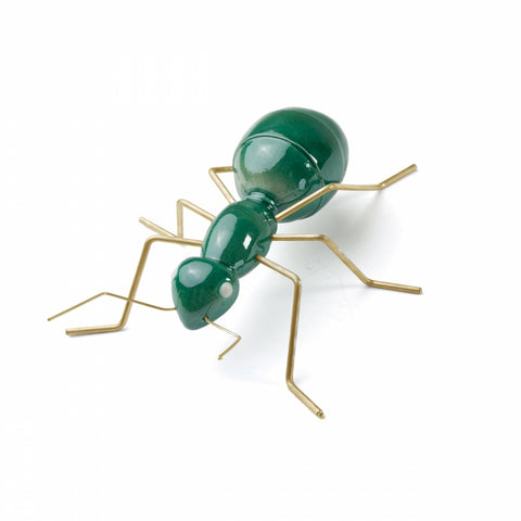 Fauna| Ant Mint | Mambo