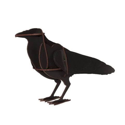 Edgar | Raven | IBRIDE