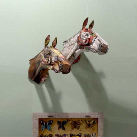 Fleur De Nuit | Miniature Racehorse | MIHO
