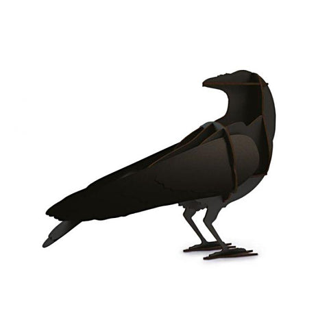 Gustav | Raven | IBRIDE