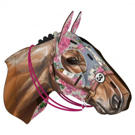 Icarus | Racehorse | MIHO