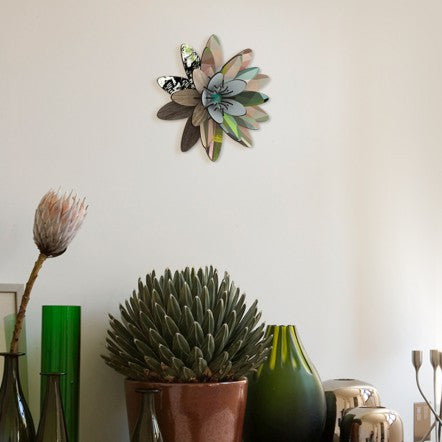 Northern Star | Decorative Flower | MIHO