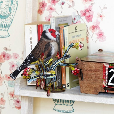 Red Baron | Bird | MIHO